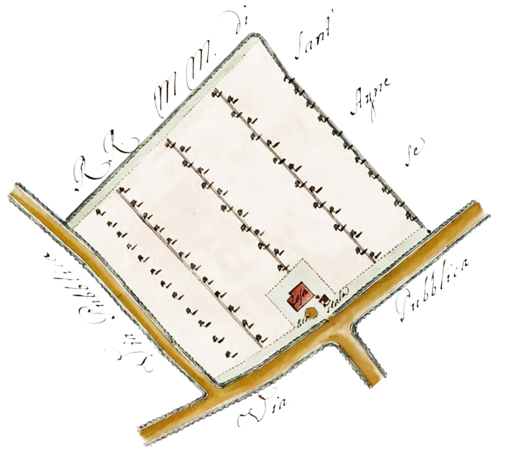 Immagine decorativa di mappa antica