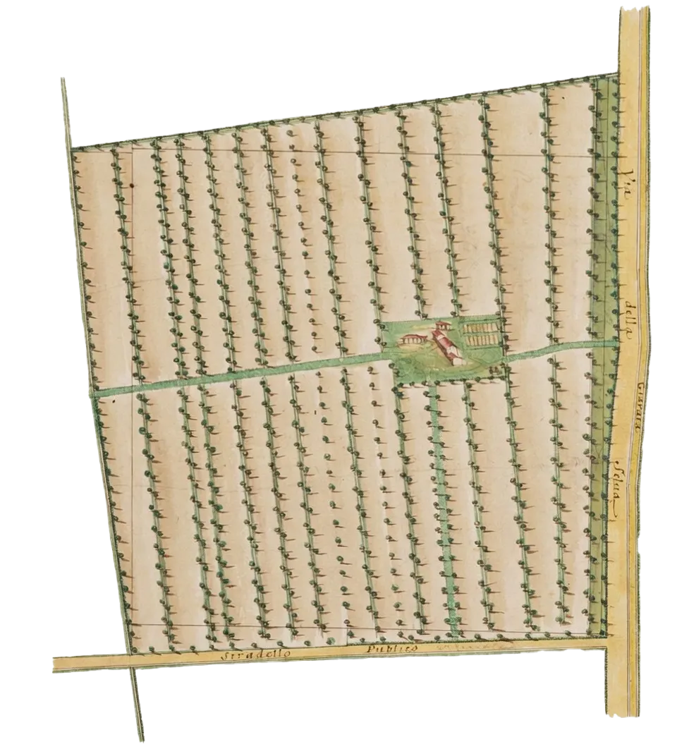 Immagine decorativa di mappa antica